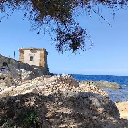 Daniel's Trapani